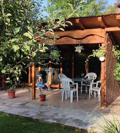 Casa M Daire Câmpulung Moldovenesc Dış mekan fotoğraf