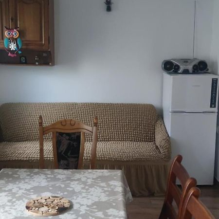 Casa M Daire Câmpulung Moldovenesc Dış mekan fotoğraf