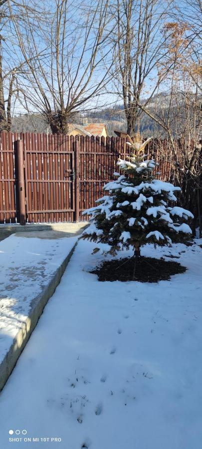 Casa M Daire Câmpulung Moldovenesc Dış mekan fotoğraf