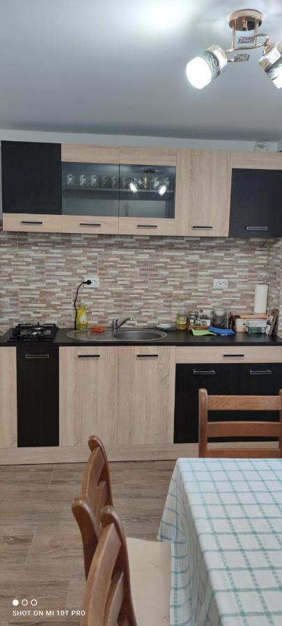 Casa M Daire Câmpulung Moldovenesc Dış mekan fotoğraf