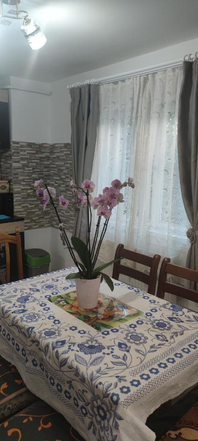 Casa M Daire Câmpulung Moldovenesc Dış mekan fotoğraf