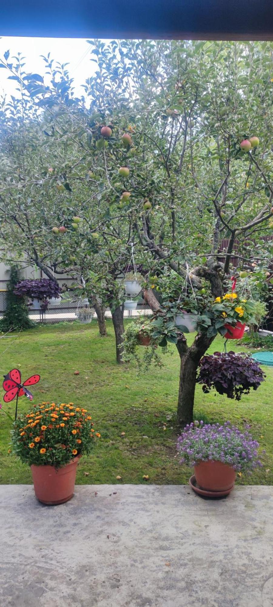 Casa M Daire Câmpulung Moldovenesc Dış mekan fotoğraf